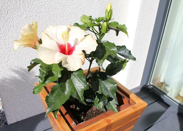 Ambiente Apartment Flachau